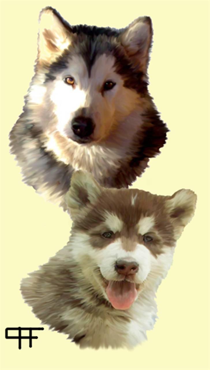 Tegninger af andres hunde - Sakima & Tkaya. billede 197