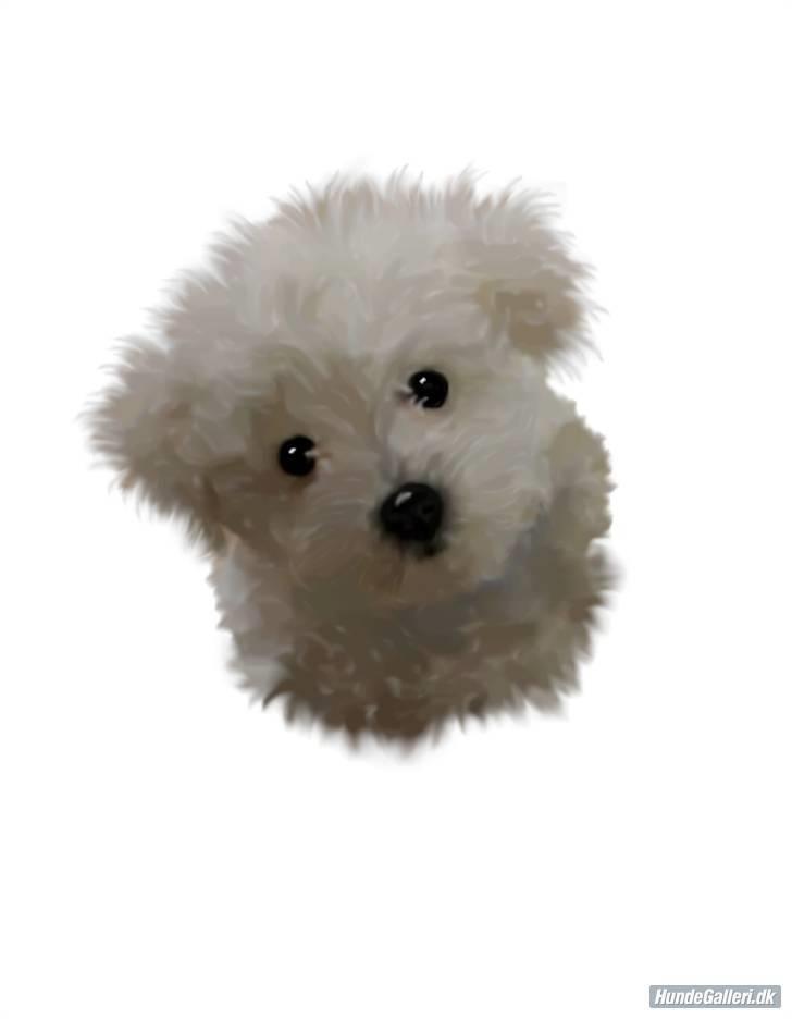 Superskønne tegninger og billeder fra andre - Fra Hanne N. Min lille tegneserie hund...virkelig flot billede!! Tusind tak! billede 7