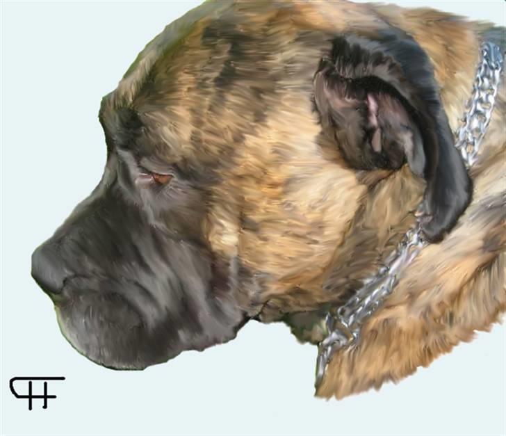 Tegninger af andres hunde - Boerboel Peggy Sue. billede 198