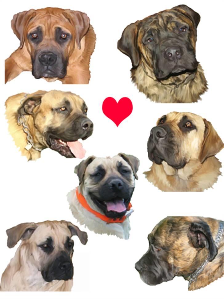 Tegninger af andres hunde billede 199