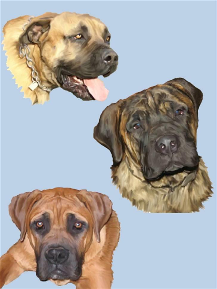 Tegninger af andres hunde - Fyrene billede 200