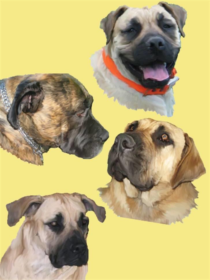 Tegninger af andres hunde - Pigerne billede 201