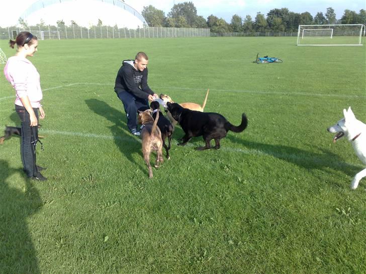 Legestue i Næstved billede 8