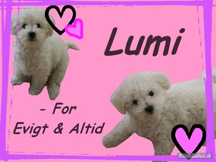 Superskønne tegninger og billeder fra andre - Fra NP. Det er rigtigt kært - min lille tøsehund...hehe. Tak!! billede 10