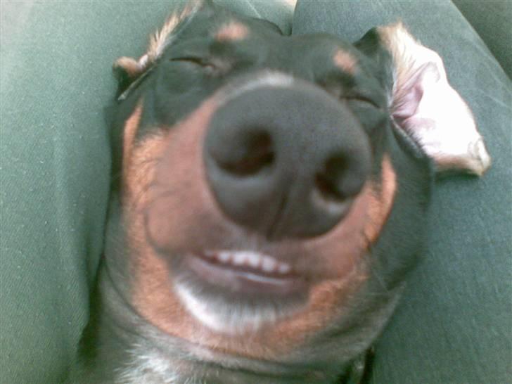 Min mor siger jeg ikke er grim, bare speciel! billede 1