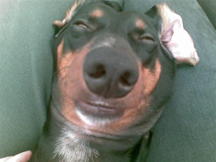 Min mor siger jeg ikke er grim, bare speciel! billede 2