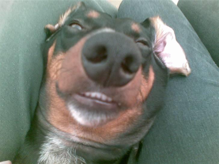 Min mor siger jeg ikke er grim, bare speciel! billede 3