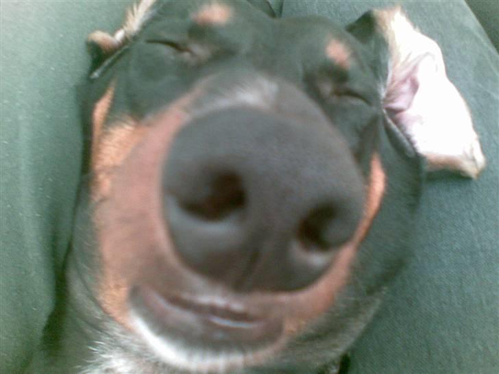 Min mor siger jeg ikke er grim, bare speciel! billede 4