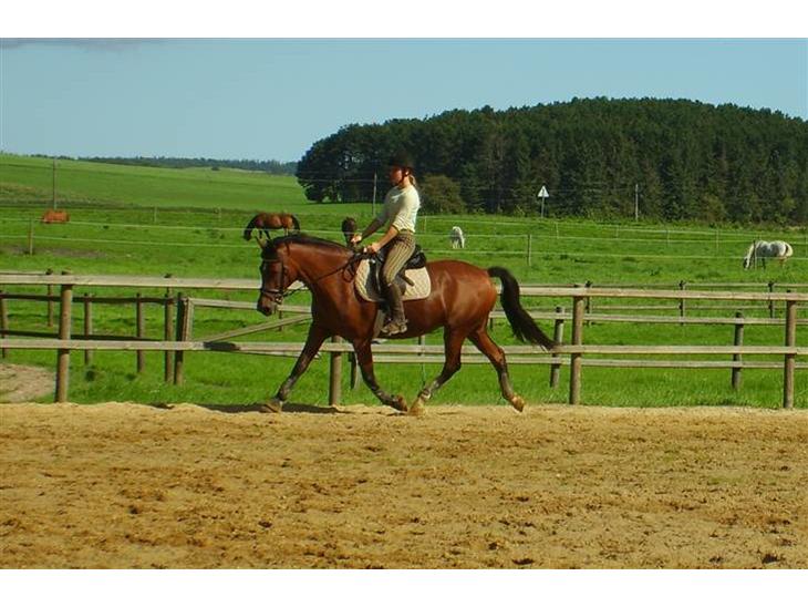 {{currentPhoto.altText}} billede {{currentPhoto.number}}