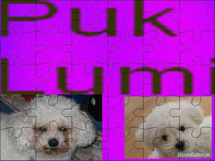 Superskønne tegninger og billeder fra andre - Fra Maria Louise. Mine to dejlige hunde side om side :) Tusind tak! Det er virkelig kært! billede 12