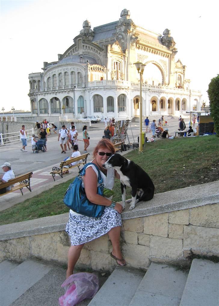 Ferie i Rumænien - Min nye ven... den kom bare logrende hen og sku nusse lidt billede 61