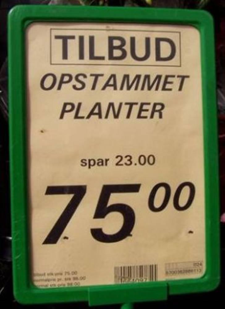 Sjove fejl. billede 37