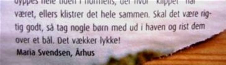 Sjove fejl. billede 38