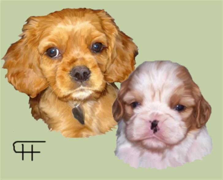 Tegninger af andres hunde billede 211