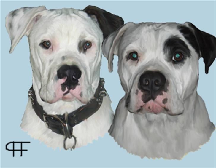 Tegninger af andres hunde billede 212