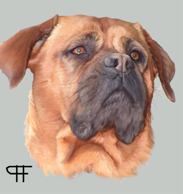 Tegninger af andres hunde - Dogue de bordeaux Lil. billede 215