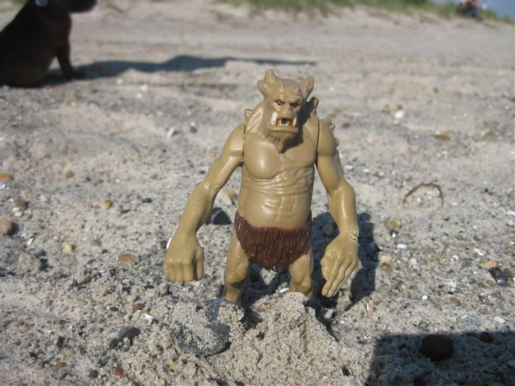 Manu på tur i Kildevældsparken, til træning & på Amager Strandpark - Strandmonsteret!!!! billede 33
