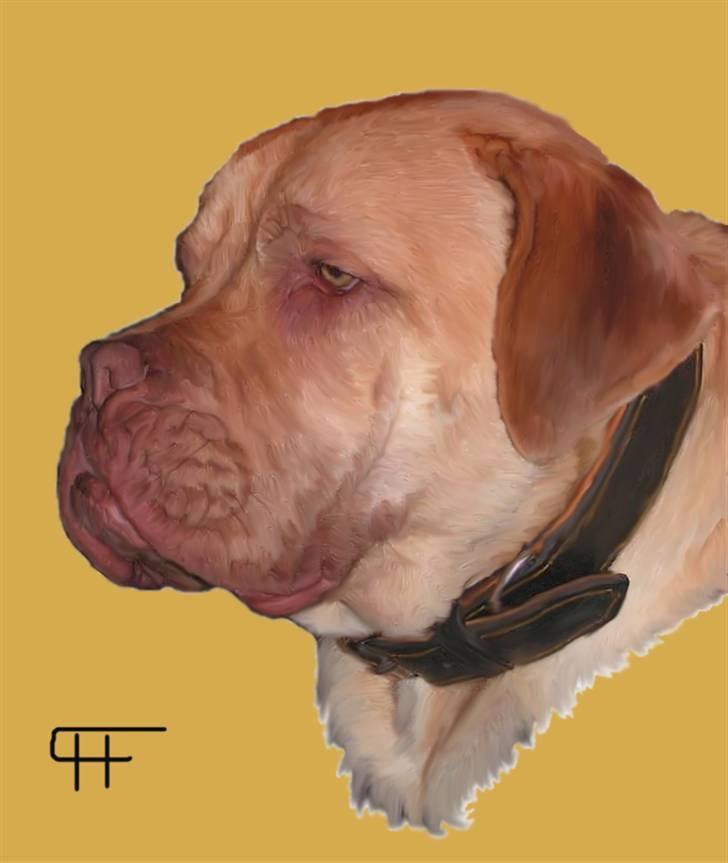 Tegninger af andres hunde - Blanding af racer Berta. billede 220