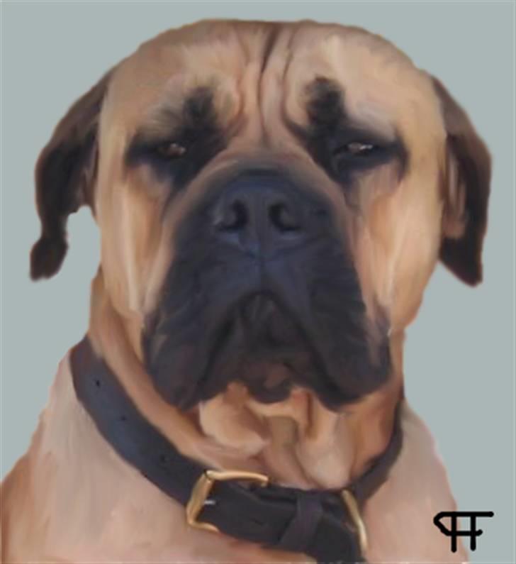 Tegninger af andres hunde - Dalton billede 222
