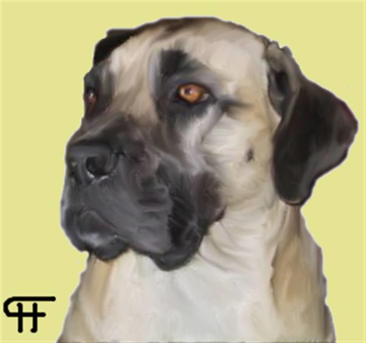 Tegninger af andres hunde billede 223