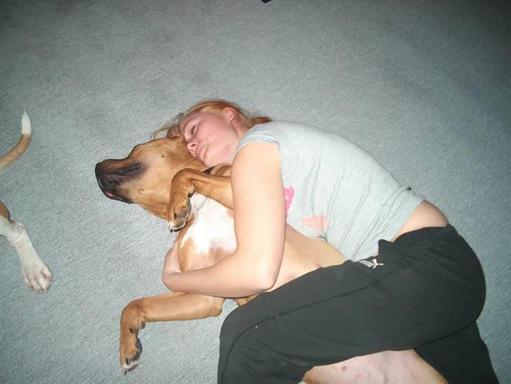 Min skatter hund - ZzzZZZzzz mmmmm billede 3