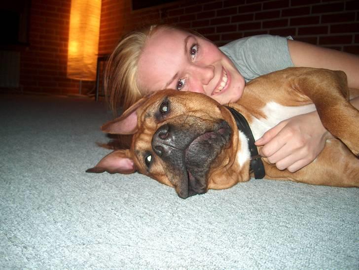 Min skatter hund - Hygge hygge billede 6