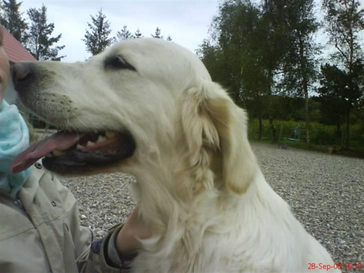 Golden countrysides  - Mig og Liva igen billede 8