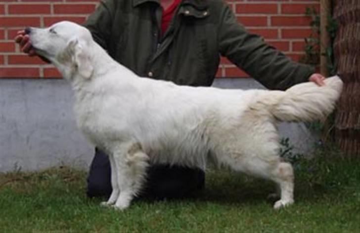 Golden countrysides  - Her er der et billede af Filippa (taget fra deres hjemmeside) billede 1