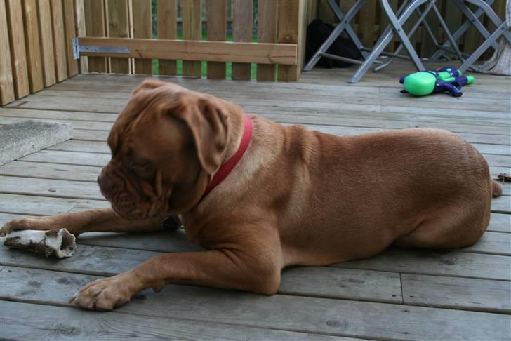 Sommerens billeder af tøserne.. - Du skal ikke være fræk dejlige hygge ben........ billede 56