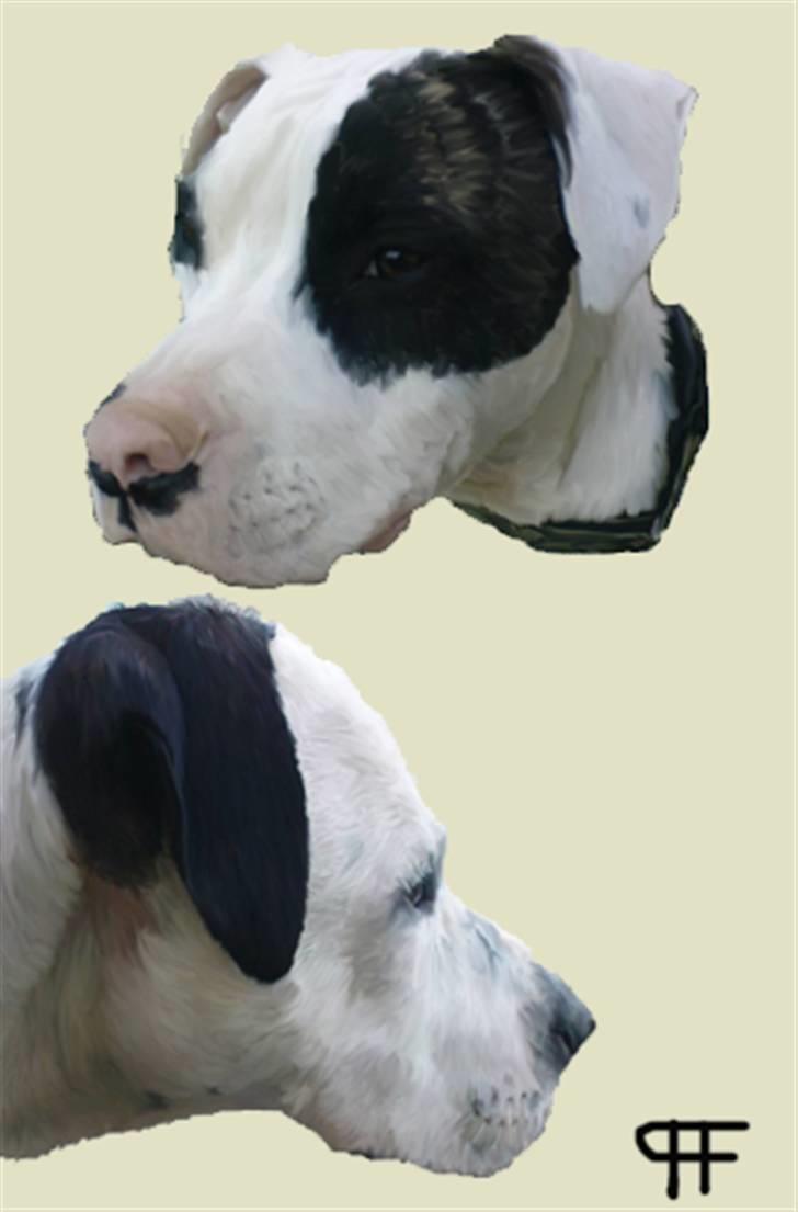Tegninger af andres hunde billede 226