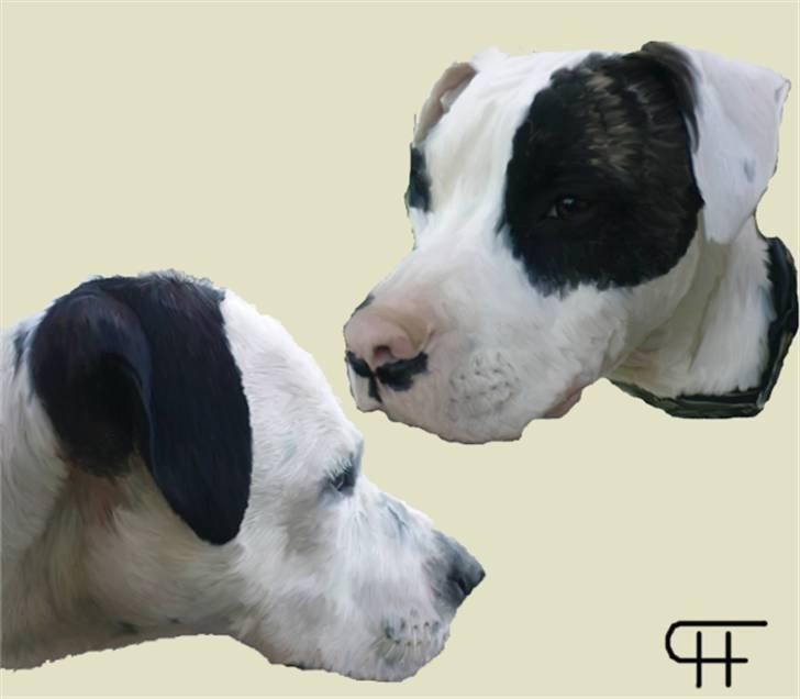 Tegninger af andres hunde billede 227
