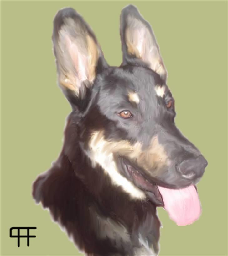 Tegninger af andres hunde - Blanding af racer Vaks. billede 228