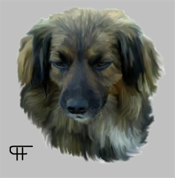 Tegninger af andres hunde - Misiek . billede 230