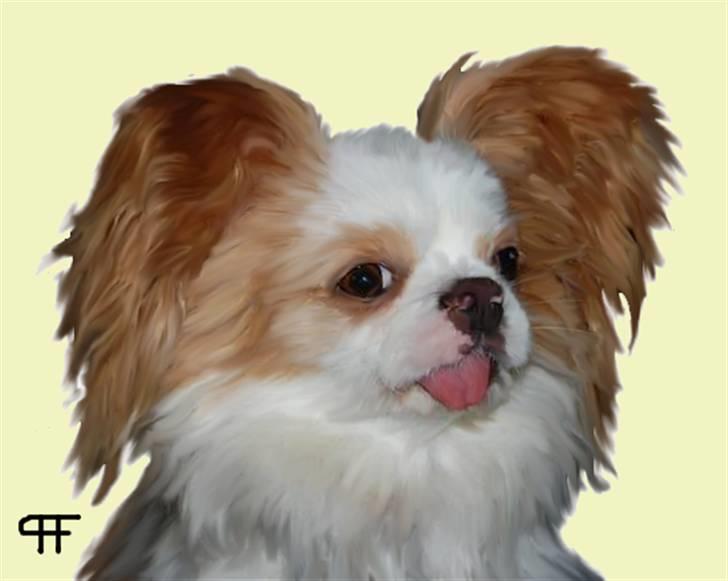 Tegninger af andres hunde - Blanding af racer Mille musen. billede 231