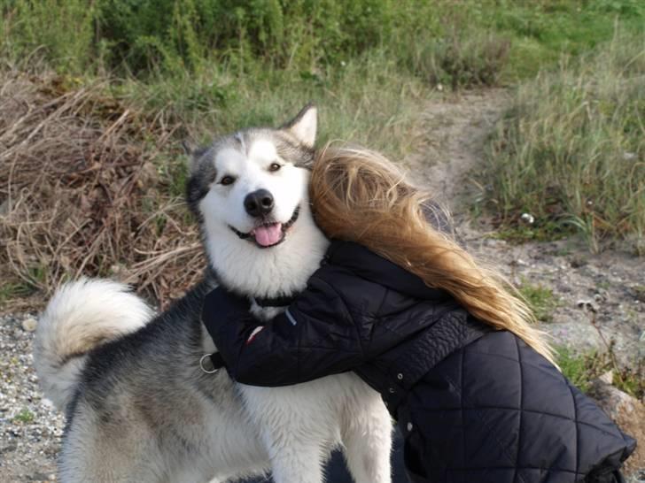 Tur med chunta og naboens datter - Der er ikke noget bedre end en krammer fra en dejlig pige - Chunta og michelle er virkelig gode venner hvilket man godt kan se på chunta her billede 3