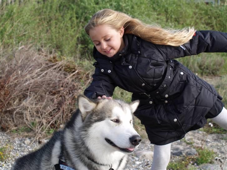 Tur med chunta og naboens datter - Michelle er gymnast og ville her holde ballance men chunta kom løbende for michelle havde godbider i lommerne billede 4