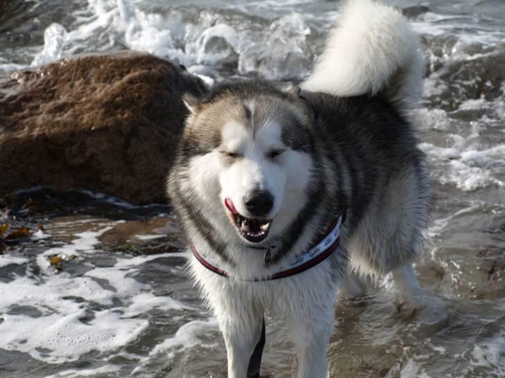 Tur med chunta og naboens datter - Chunta prøv at se bøvet ud ... holdt holdt ikke så bøvet billede 5