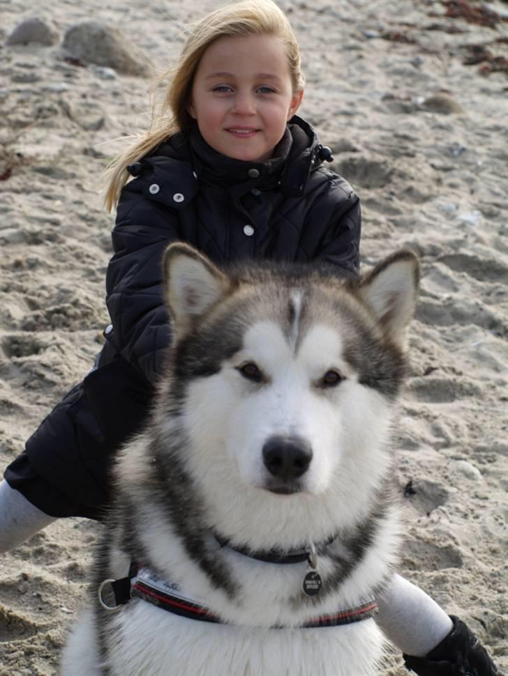 Tur med chunta og naboens datter - Chunta finder sig i alt. Her brugte michelle ham til at læne sig op ad - det svære var hvor man skulle stille skarpt så jeg forsøgte at få michelles ansigt frem billede 7