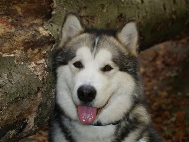 Tur med chunta og naboens datter billede 12