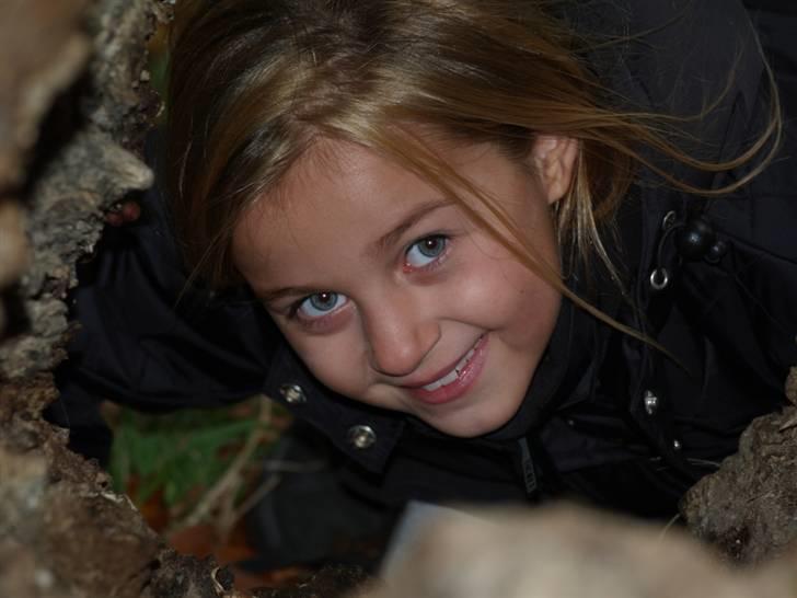 Tur med chunta og naboens datter - Man kan lave meget sjov med en hul træstamme billede 18