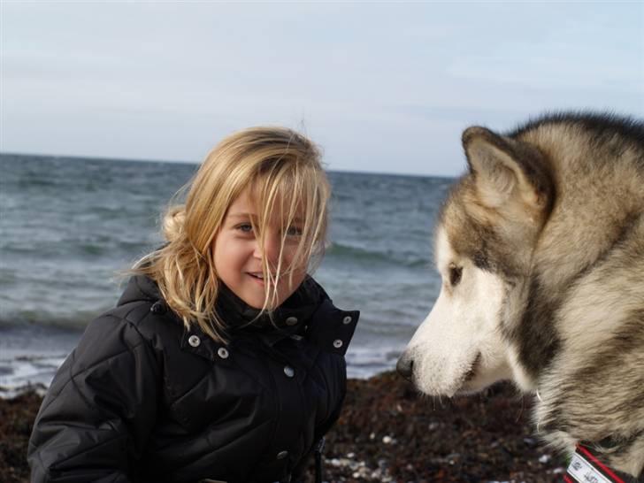 Tur med chunta og naboens datter - Hey michelle giv mig så den godbid billede 19