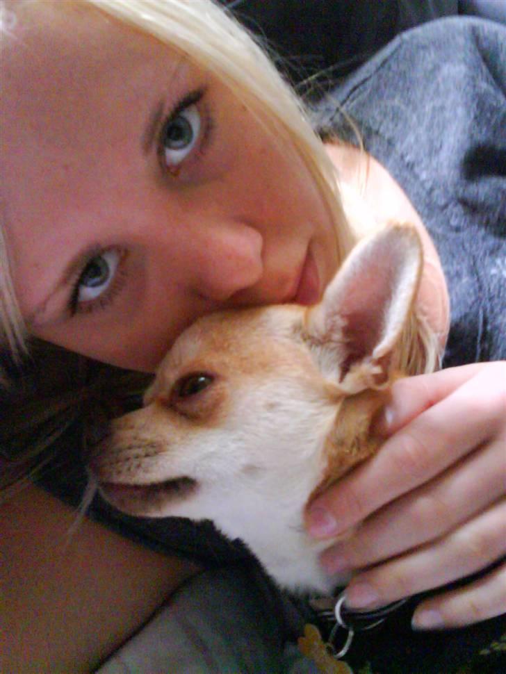 Bailey som hyggehund <3 billede 2