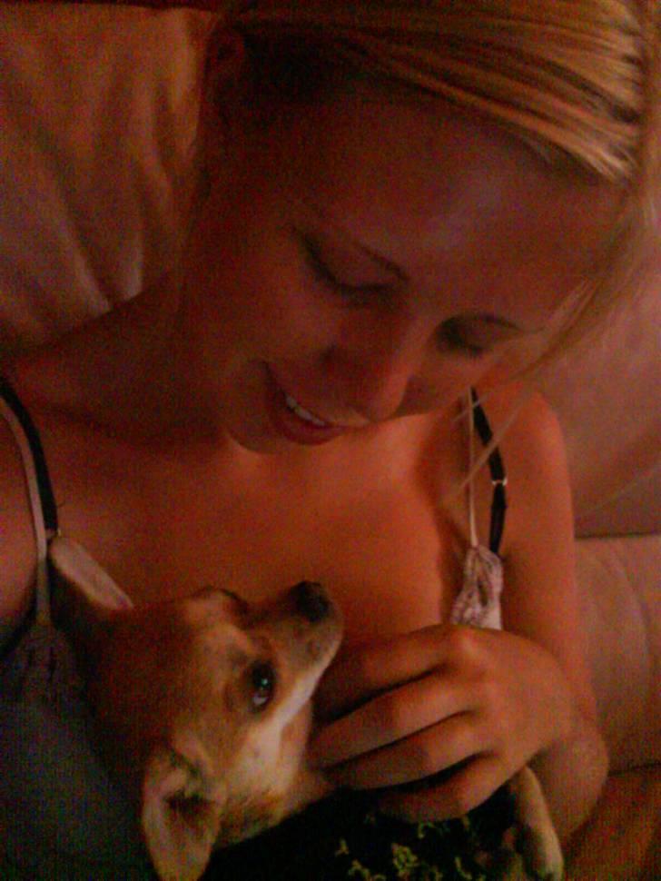 Bailey som hyggehund <3 billede 3