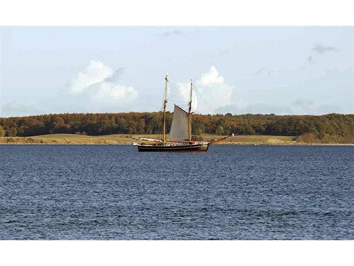 {{currentPhoto.altText}} billede {{currentPhoto.number}}