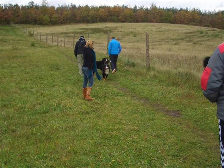 {{currentPhoto.altText}} billede {{currentPhoto.number}}