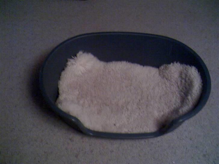 Snore, kurve etc billede 2