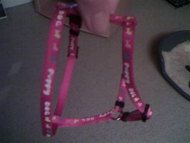 Snore, kurve etc billede 4