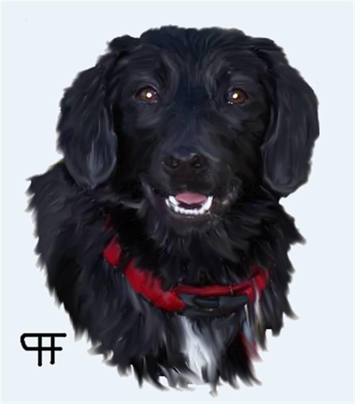 Tegninger af andres hunde - Blanding af racer Sally the pink pirate. billede 235