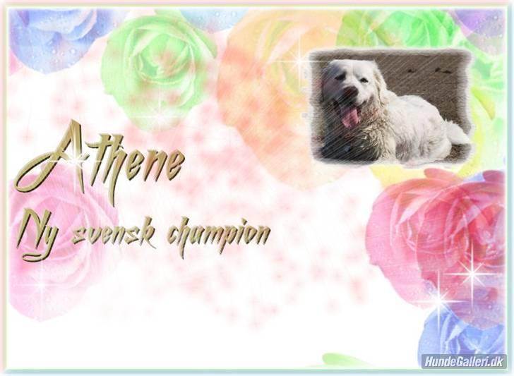 Diverse tegninger og collager... - Endnu en af Mie´s fine kreationer - er så glad for de fine billeder - TAK! billede 3