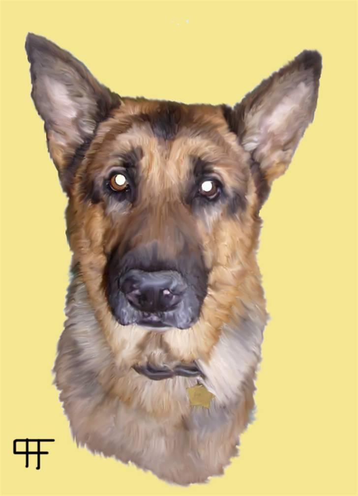Tegninger af andres hunde - Schæferhund Simba. billede 239